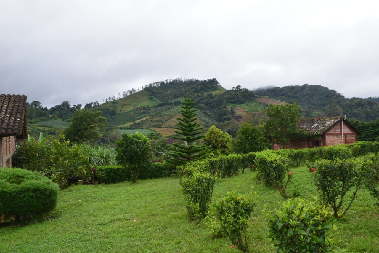 jinotega
